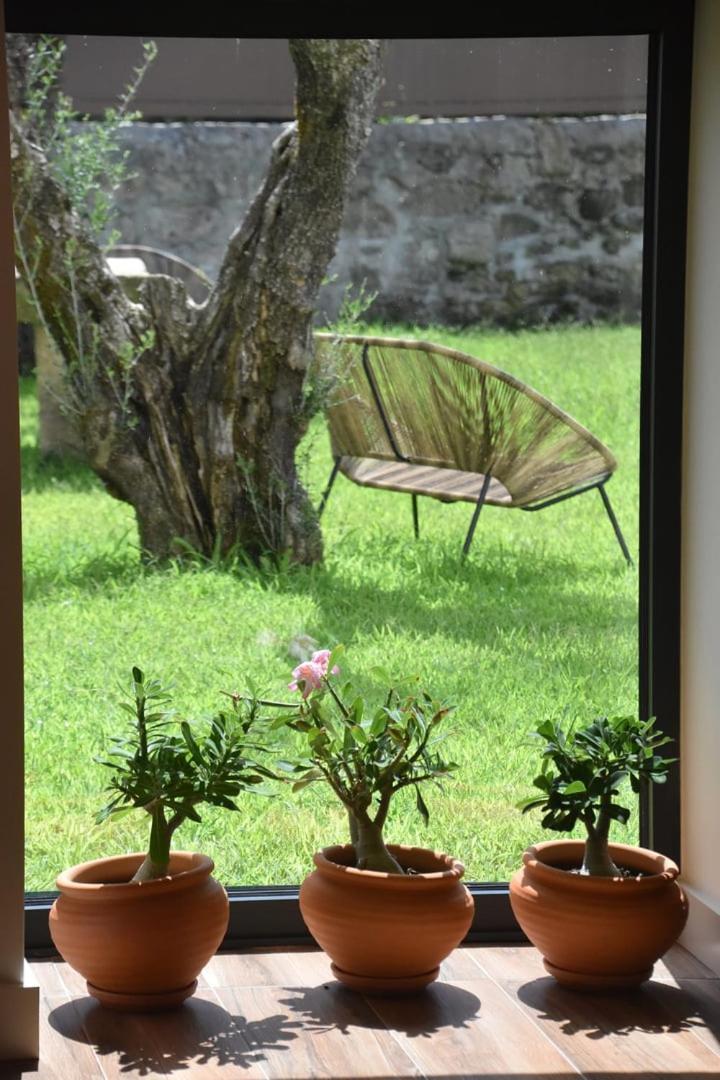 Alminhas Da Mindua - Unique Experiences By Luxistay Vitorino dos Piães Zewnętrze zdjęcie